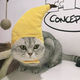 Curly Hair Pet Hat Cat Funny Dress Up Pet Products (Option: Banana-Average Size)