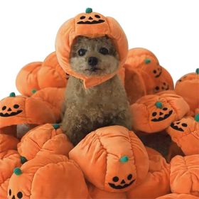 Curly Hair Pet Hat Cat Funny Dress Up Pet Products (Option: Pumpkin-Average Size)