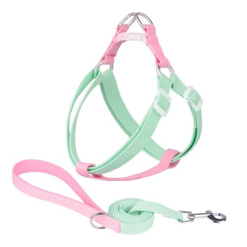 Macaron Traction Dog Rope Small And Medium Sized Pets